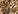 Gilt by association