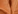 Nc44