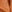 Nc44