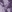 Grape