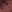 Coppering