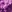 Creme de violet