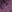 Plum dressing