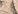 Nc15