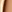 Nc44
