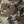 Classic camo