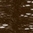 Chestnut