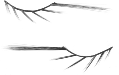 ILLAMASQUA False lashes 020