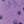 Speckle