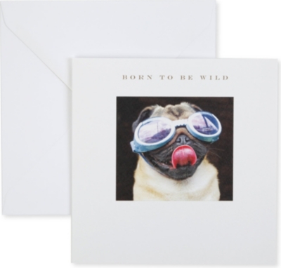 SUSAN O'HANLON Born To Be Wild Pug In Goggles card