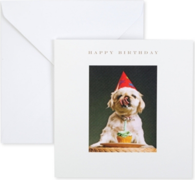 SUSAN O'HANLON Dog In Party Hat Happy Birthday card