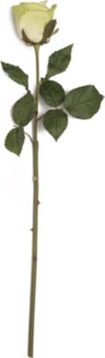 SIA HOME FASHION Rose Fabiola stem in cream 50cm
