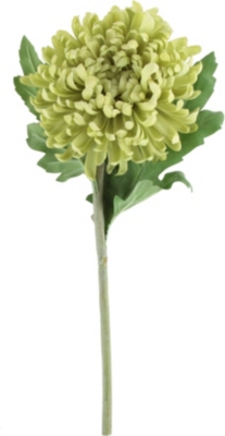 SIA HOME FASHION Mum stem in light green 30cm