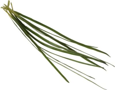 SIA HOME FASHION Grass bouquet 30cm