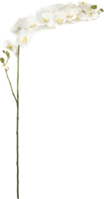 SIA HOME FASHION Orchid phalaenopsis stem 173cm
