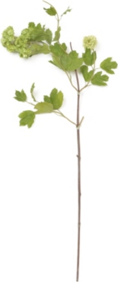SIA HOME FASHION Viburnam stem in cream and green