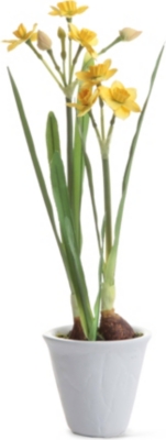 SIA HOME FASHION Narcissus potted plant