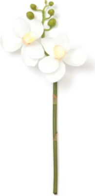 SIA HOME FASHION Orchid phalaenopsis stem 25cm