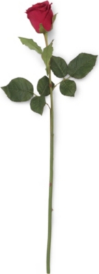 SIA HOME FASHION Rose Fabiola stem in red 50cm