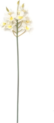 SIA HOME FASHION Orchid epidendrum stem 66cm