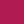 574 rose fleur