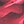 Photo rose red