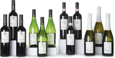 SOMMELIERS SELECTION Introductory case 12 x 750ml