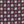 Navy coral