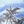 Blue ciel