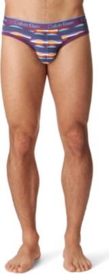 CALVIN KLEIN Palmer stripe briefs