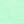 Parrot green