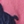Wesley pink/blu