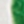 White/green pp