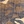 Black camoufla