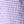 Purp gin sp205