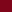 Lotus rouge