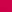 Rose exuberant