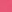 Rose insolent