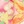 Tropical print