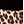 Black cheetah