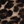 Cheetah black