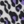 Purple white