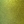 Golden green