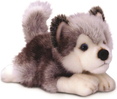 small husky soft toy