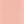 Pink rose