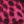 Pink fuchsia/black