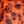 Orange/black