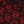 Red multi