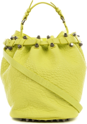 ALEXANDER WANG Diego pebbled leather bucket bag with nickel hardware