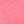 Pink lizard